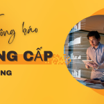 Thông báo nâng cấp hệ thống