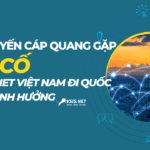 3/5 tuyến cáp quang gặp sự cố, internet Việt Nam đi quốc tế bị ảnh hưởng